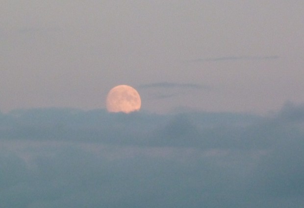 02_251 - Copie - Copie